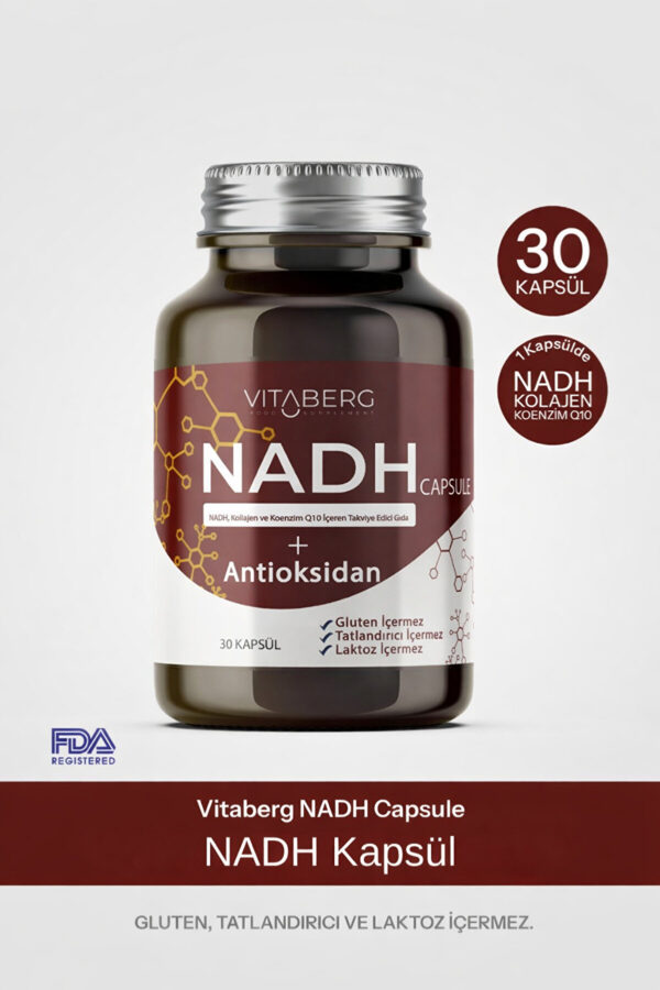 NADH Antioksidan+ | PQQ, Koenzim Q10, Resveratrol, Kolajen Tip II - Görsel 2