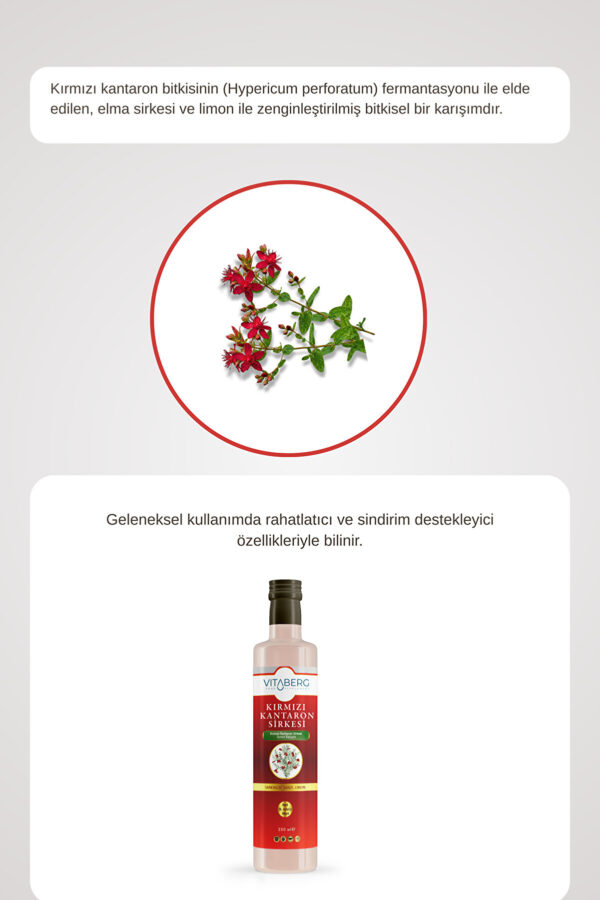 Kırmızı Kantaron Sirkesi | Elma ve Bitkisel Ekstrakt İçeren Karışım 250 ml - Görsel 5